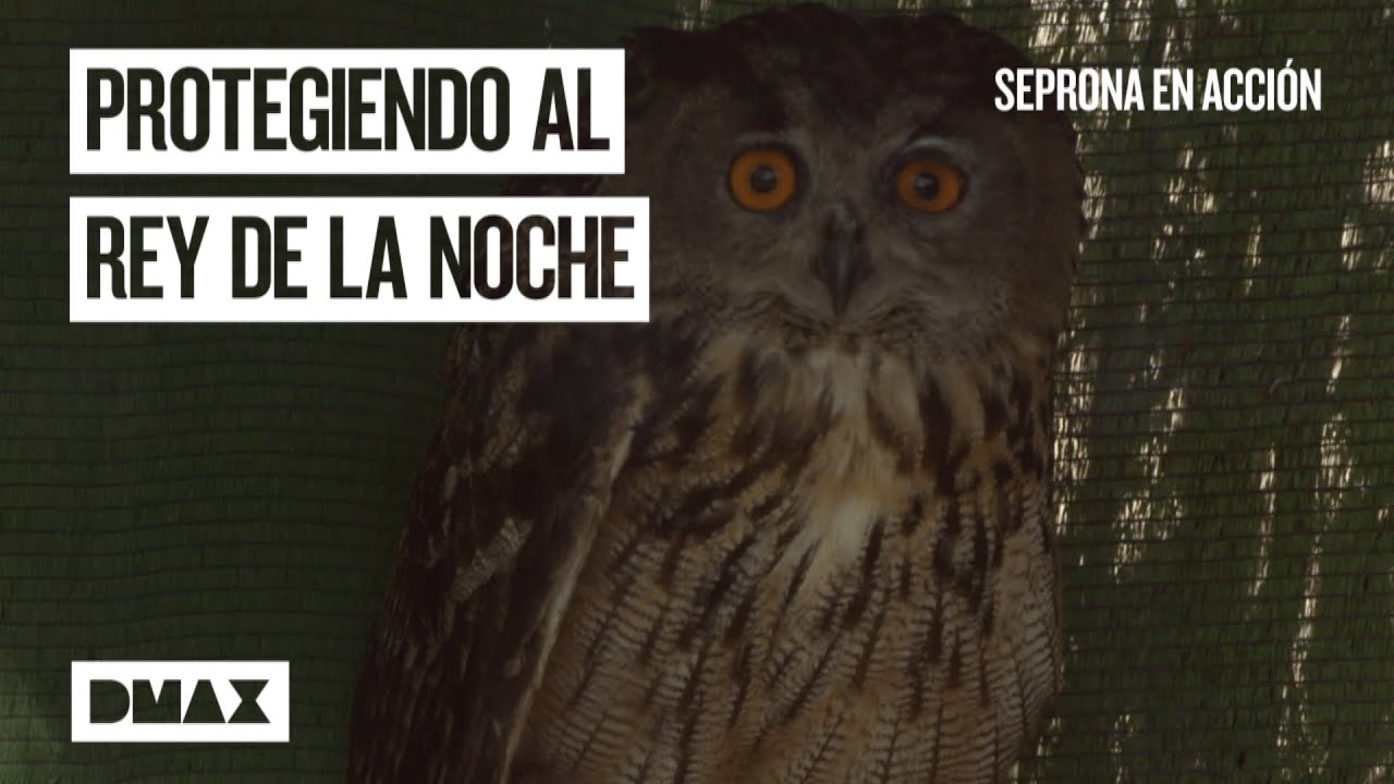 Inspeccionado un criadero de animales en peligro de extinci&oacute;n  | Seprona en acci&oacute;n