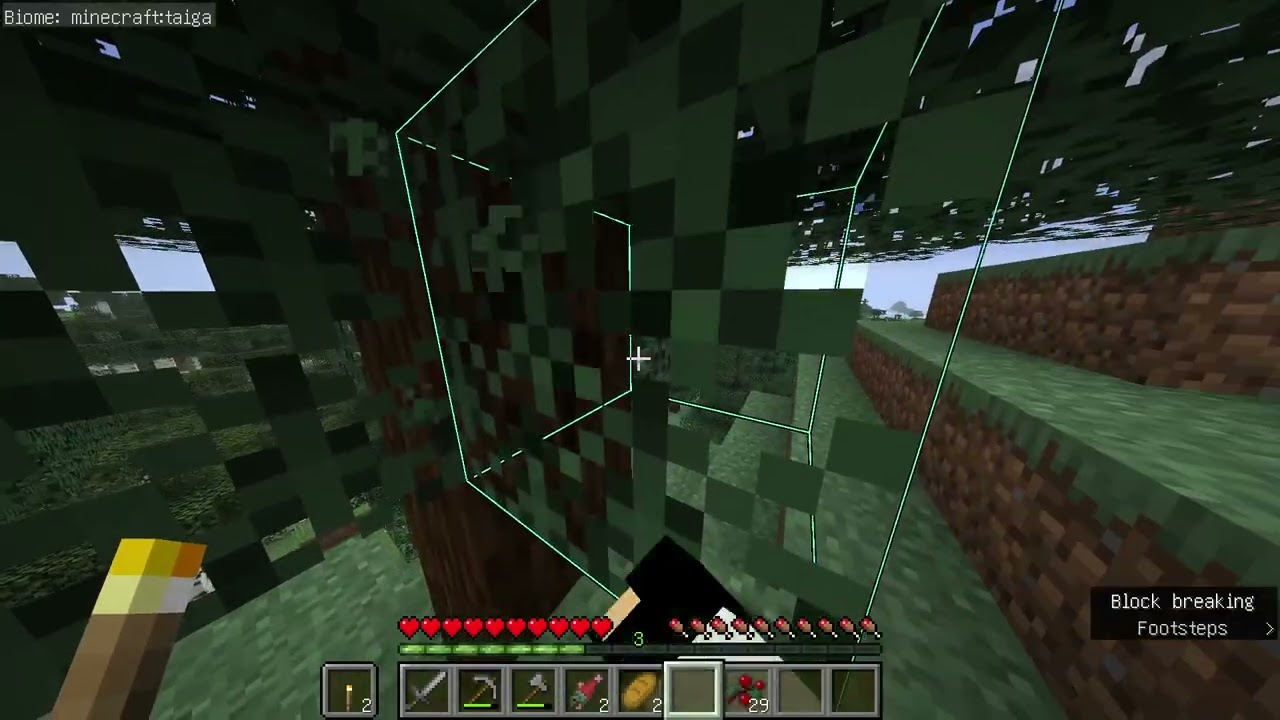 MineCraft video :D