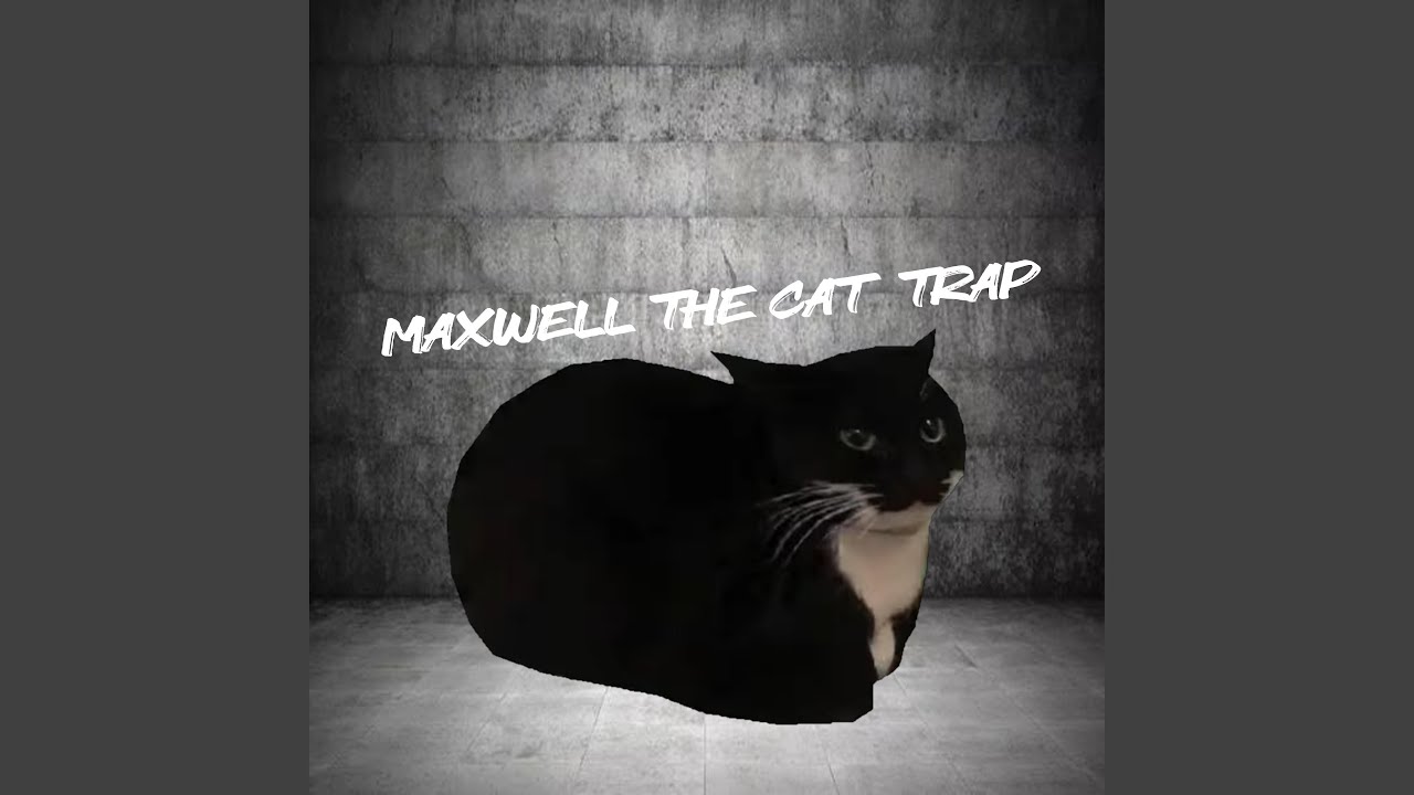 MAXWELL THE CAT TRAP