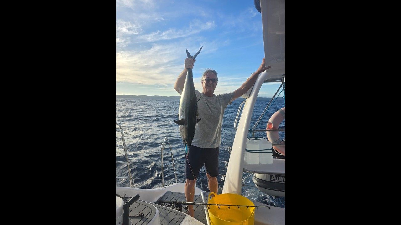 Airlie to Sydney Dec 2025