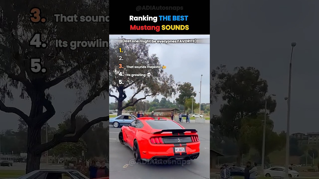 BEST Mustang Sounds 🔥