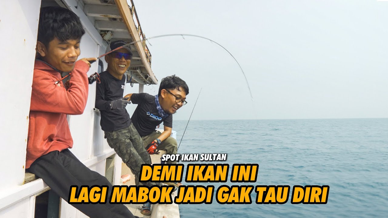 KEBANGETAN! DIBETOT DAN DISIKSA BIKIN YANG LIAT MERINDING & MERONTA2! DAIDO EMPEROR MICROJIG😫😫