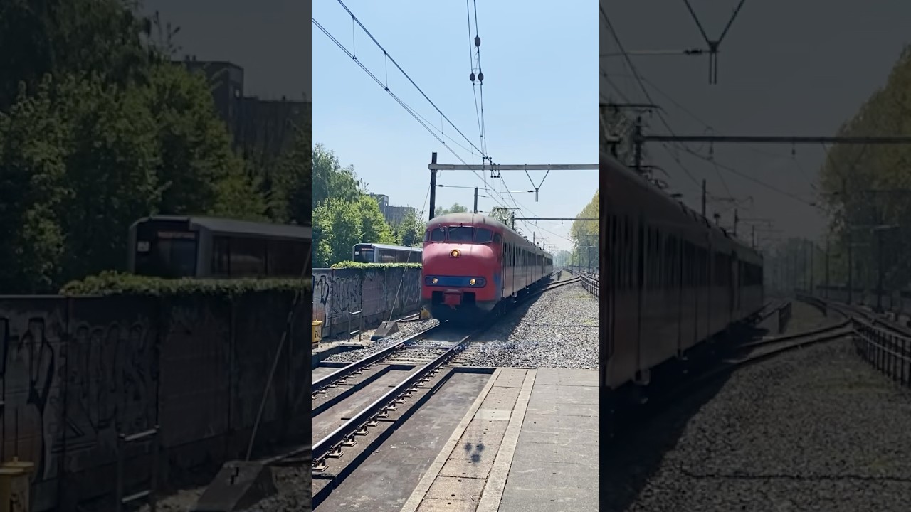 De koningsdagrit (466 Karel & NSM 876) kom en langs Lelylaan 