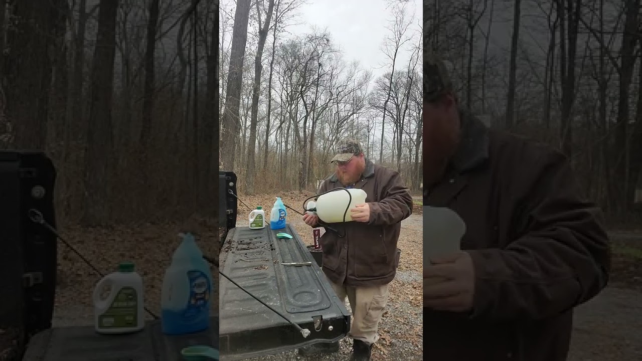 Spraying fruit trees with neem oil