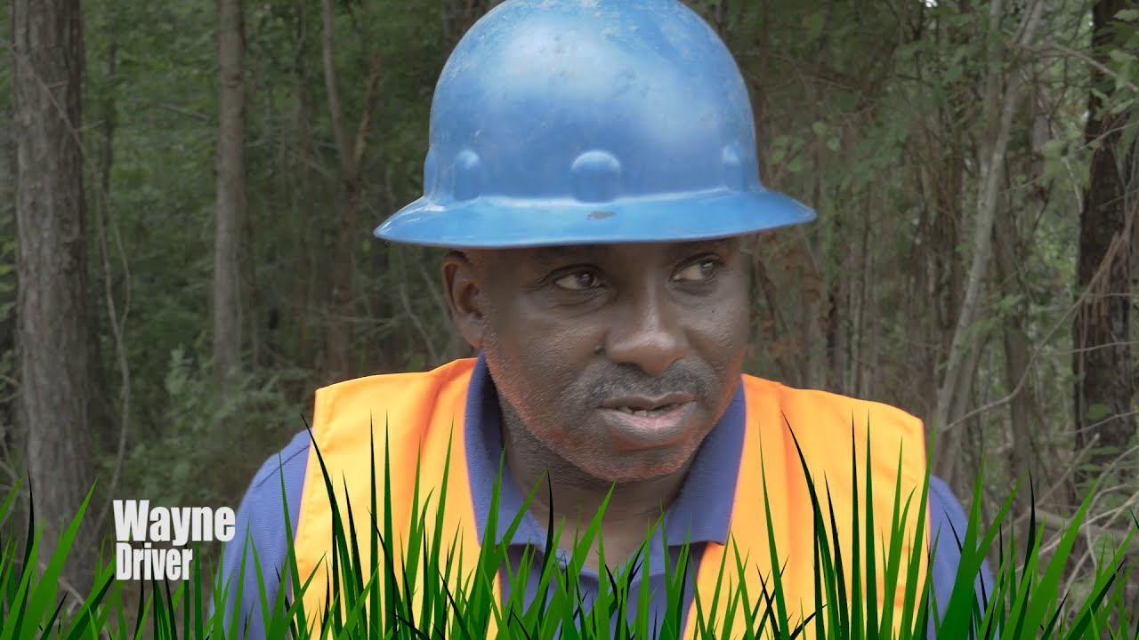 SWAMP LOGGERS NC / 