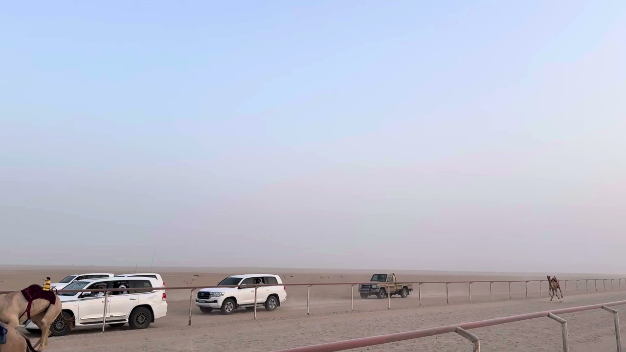 الشوط السادس 