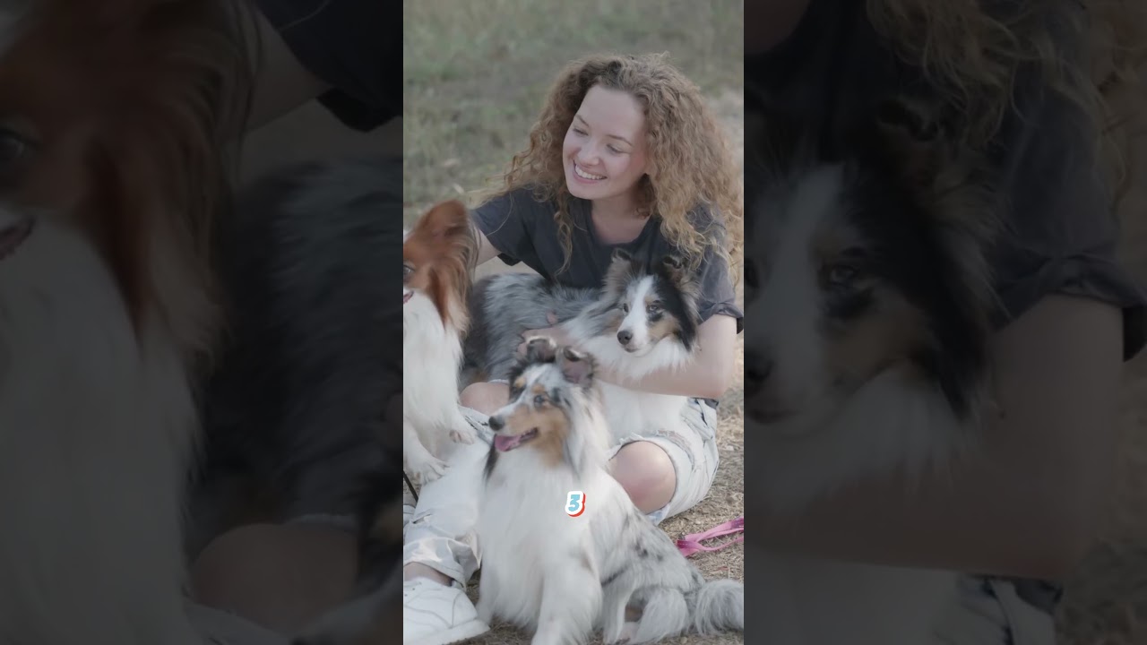 Your Dog Hates This! (Scientific Proof)