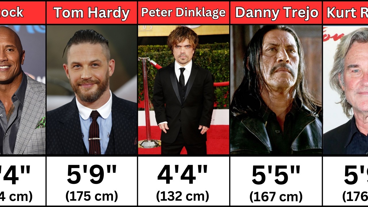Height of Hollywood Actors | Shortest to Tallest