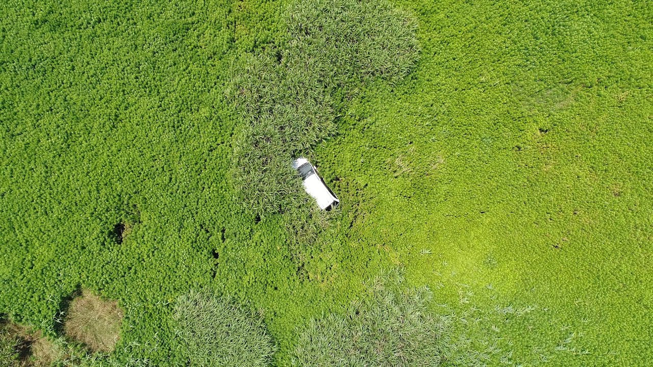 帰還困難区域の四季　帰れない故郷・福島
