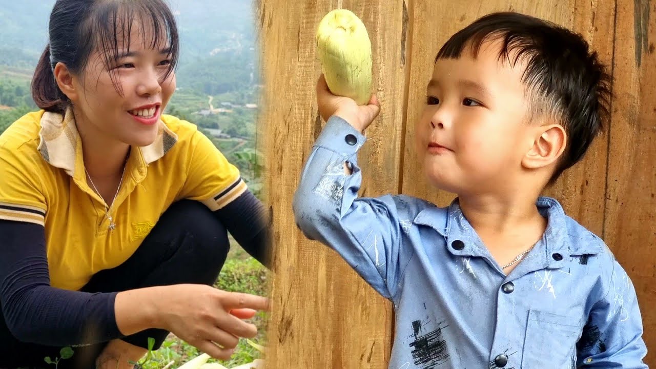 During the process of harvesting corn to sell, nothing happened to my children