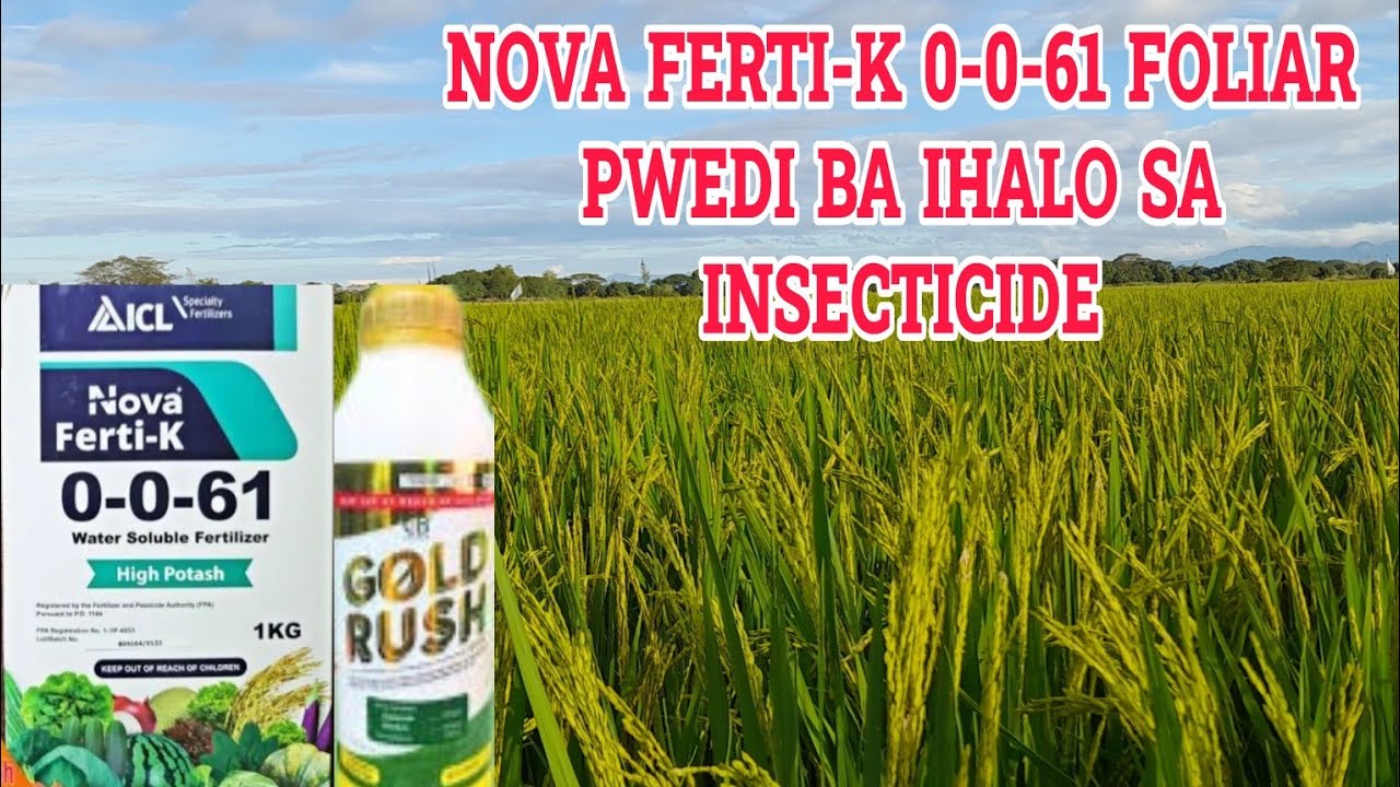 NOVA FERTI-K 0-0-61 FOLIAR FERTILIZER PWEDI BA IHALO SA INSECTICIDE