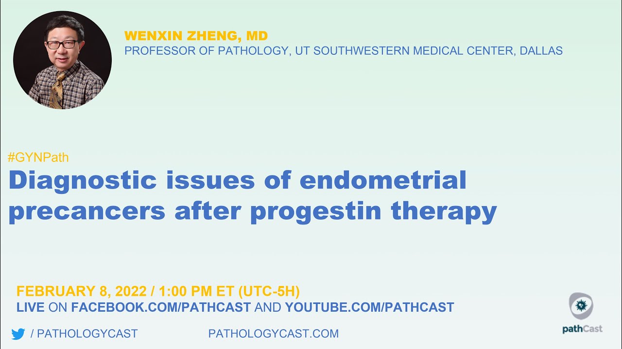 Diagnostic issues of endometrial precancers after progestin therapy