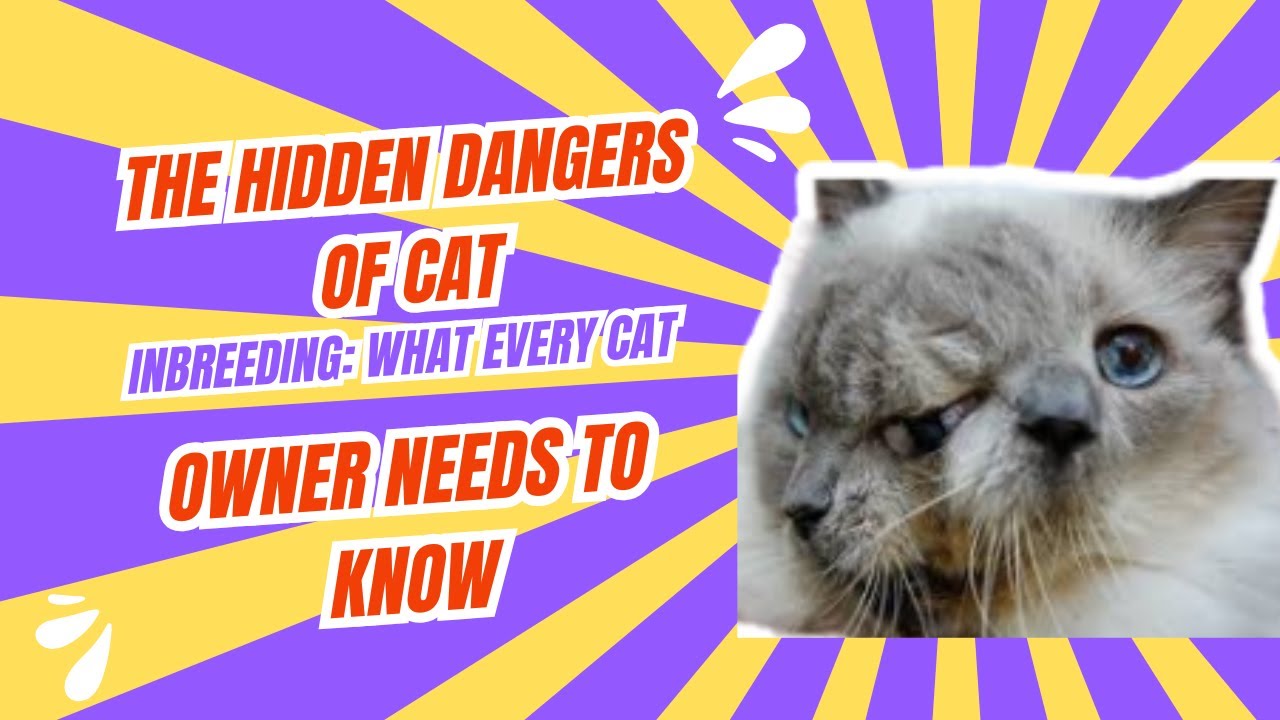 The Hidden Dangers of Cat Inbreeding: What Every Cat Owner Needs to Know