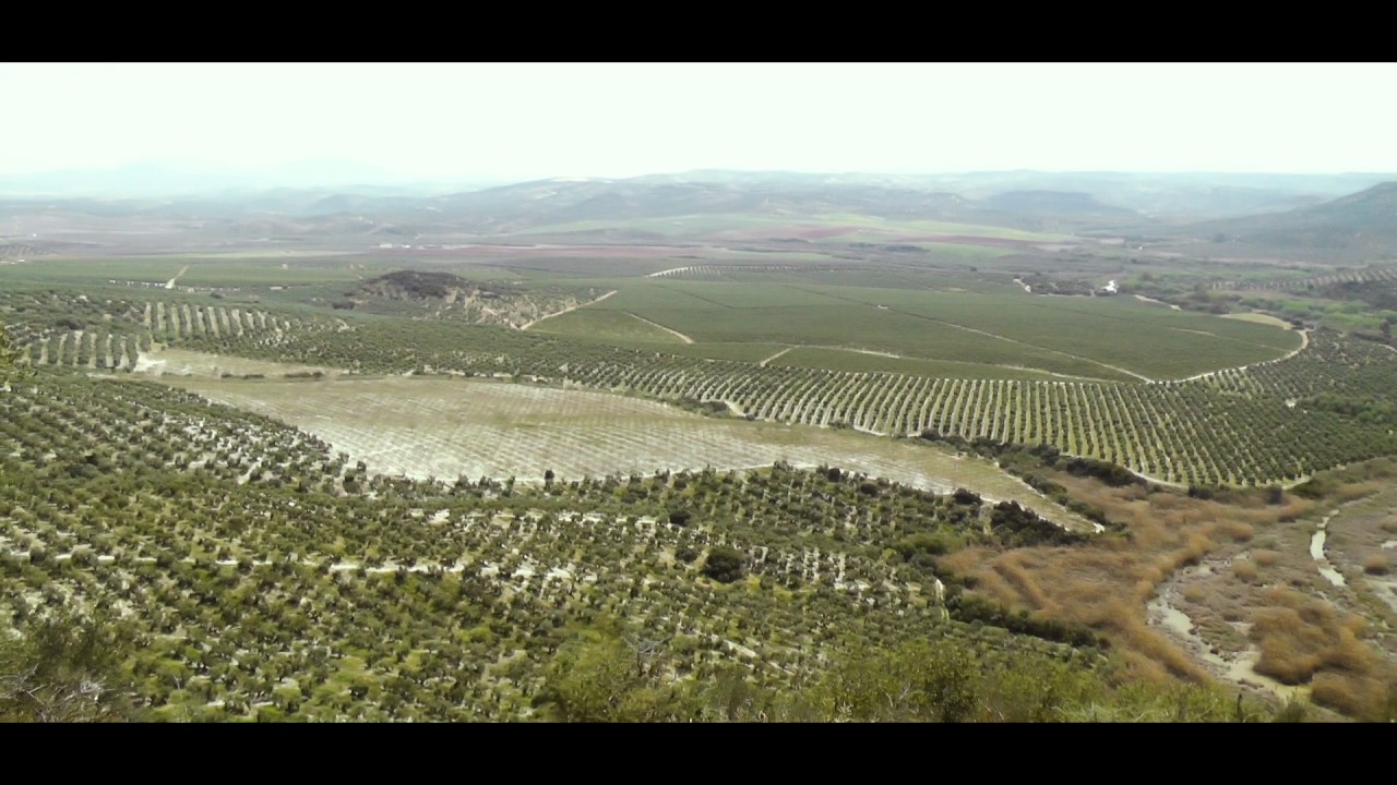 Sierra del Castillo │Senderos│Puente Genil