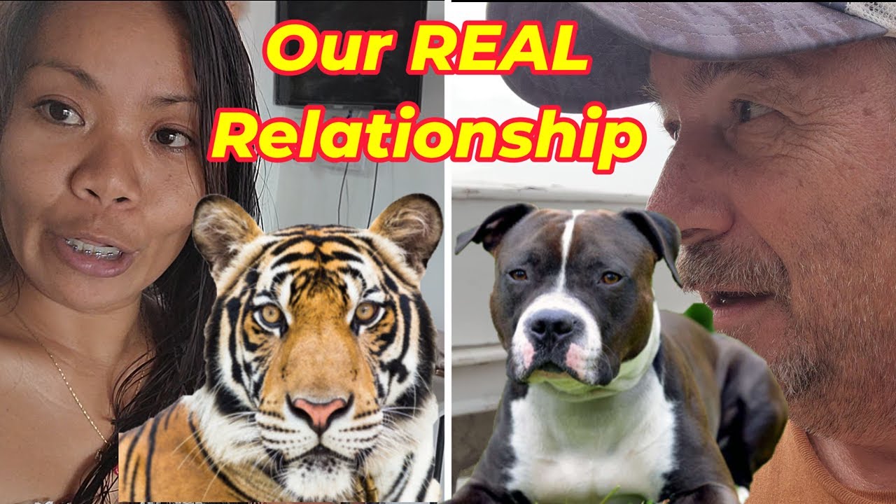 Cantina Project continues Foundation, Roof Work Tiger (Wife)Vs Bull Dog (Husband) Relationship