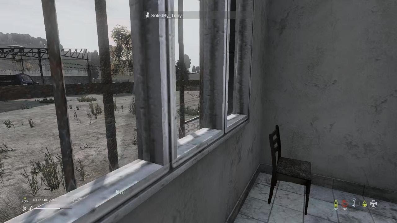 DayZ duo kill