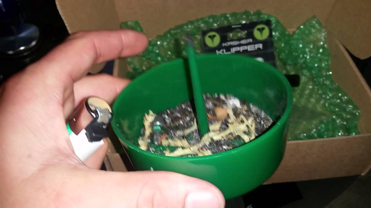 Buddabox