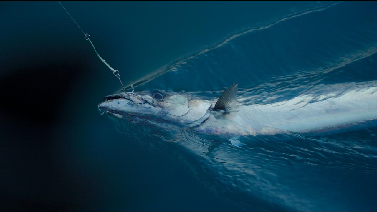 A LA PESCA 