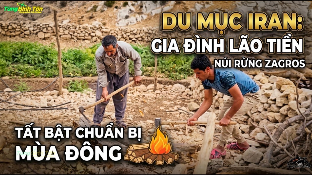 Du Mục Iran: Gia Đình Lão Tiền Tất Bật Chuẩn Bị Cho Mùa Đông Giữa Núi Rừng Zagros