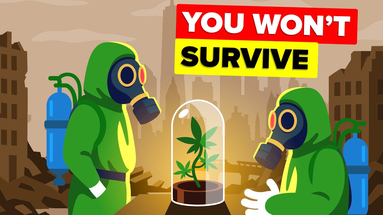 What If Humanity Had to START OVER