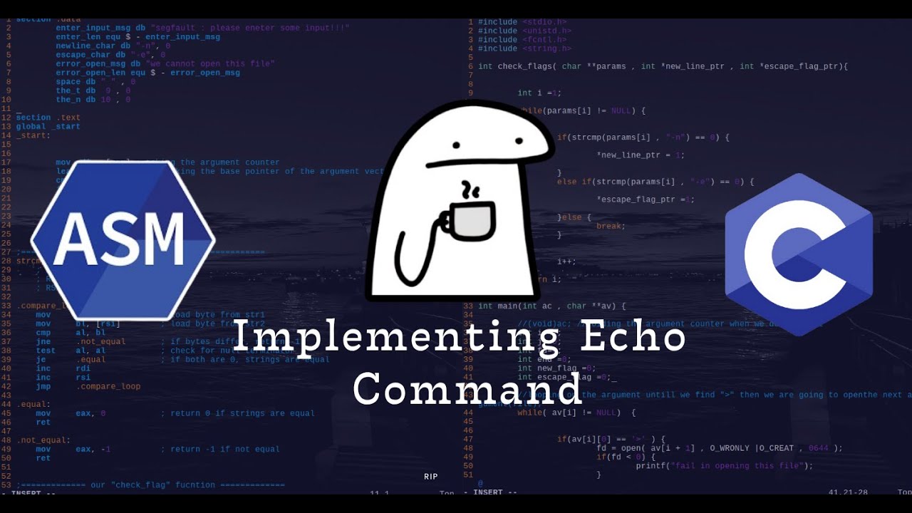 Build Your Own Echo Command in C & Assembly from scratch (Step-by-Step)