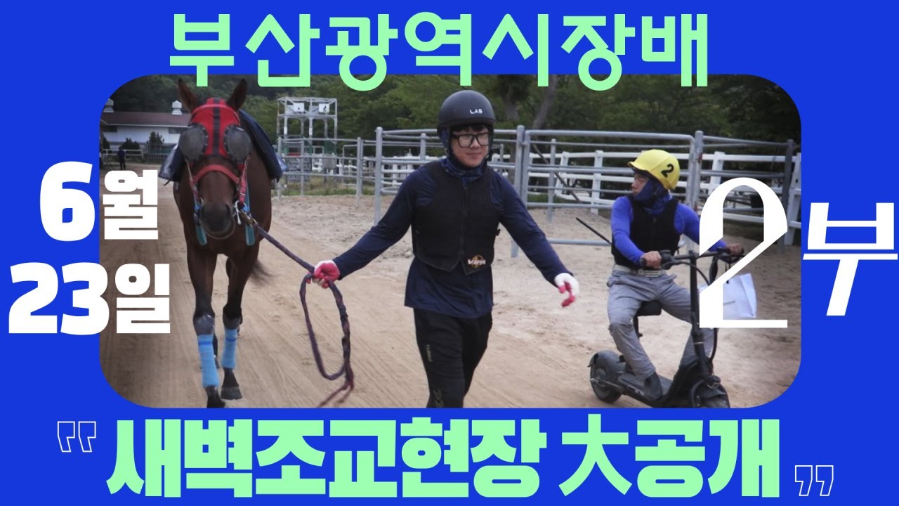 [부산광역시장배(GⅡ)] 새벽조교 현장 리포트 2부