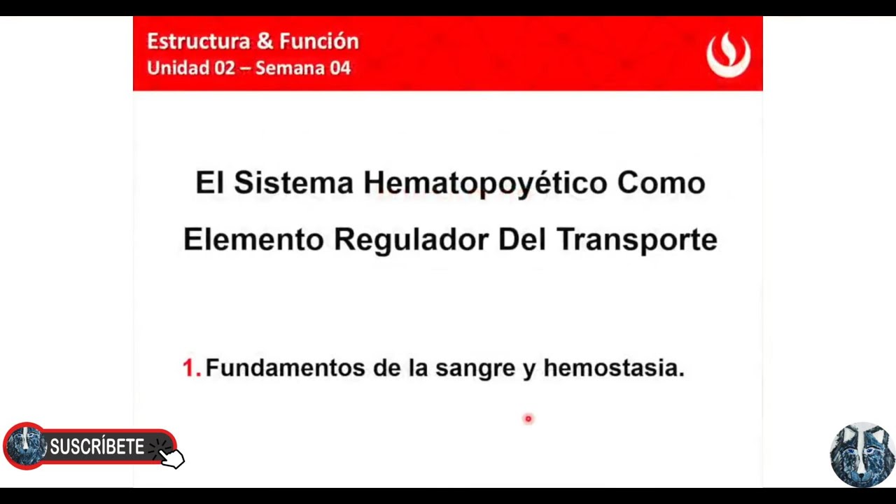 Fundamentos de la sangre y hemostasia - El sistema hematopoyético elemento regulador del transporte