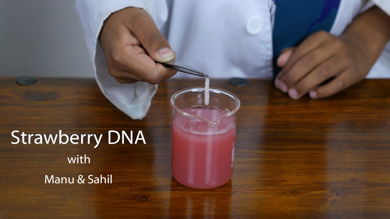 Science it with Manu - Strawberry DNA