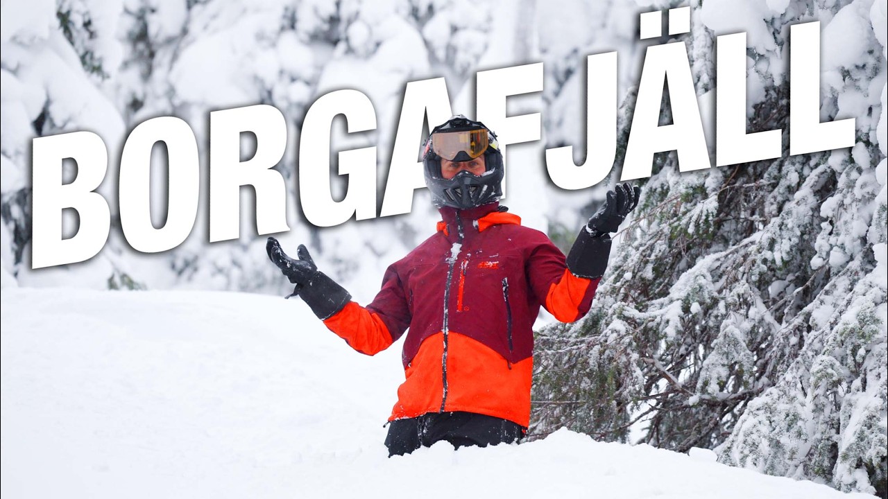 Ruffriders i skogen.. | Tällström bjuder in | Borga