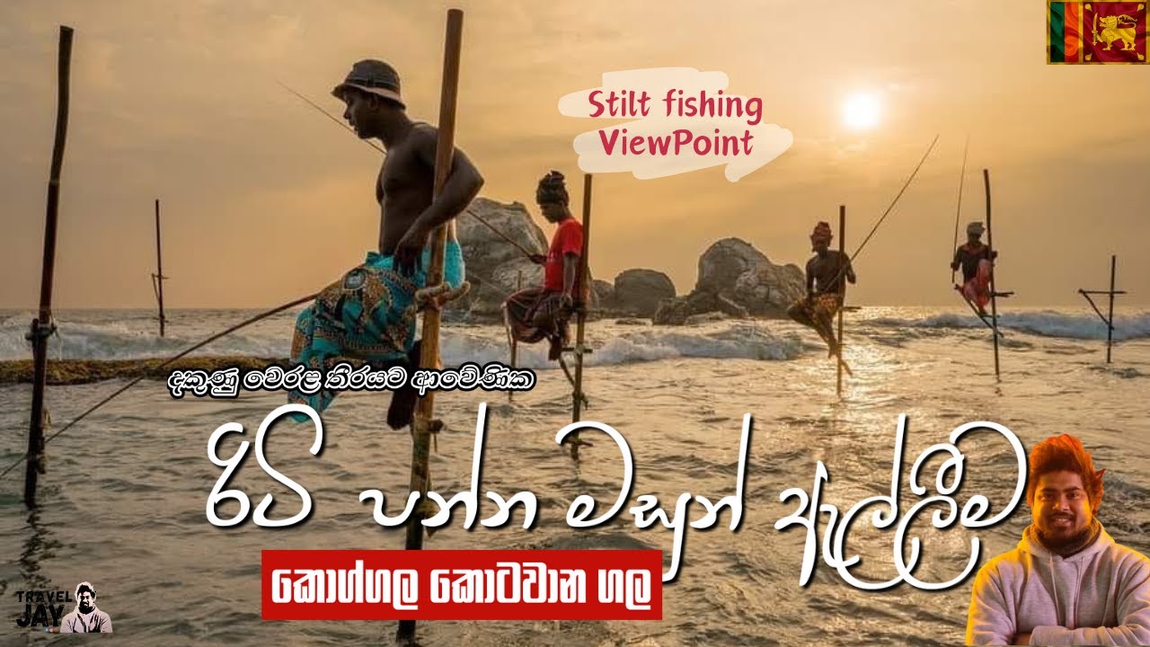 රිටක ඉදන් මාළු අල්ලන කොග්ගලට ආවේණික රිටිපන්නය  | Stilt Fishing| Kotawana Rock #stilt #fishing