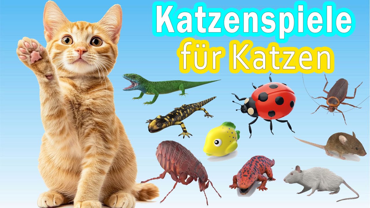 Katzenspiele f&uuml;r Katzen zum Zuschauen #2 + Videos f&uuml;r Katzen. Realistische Maus Fange M&auml;use