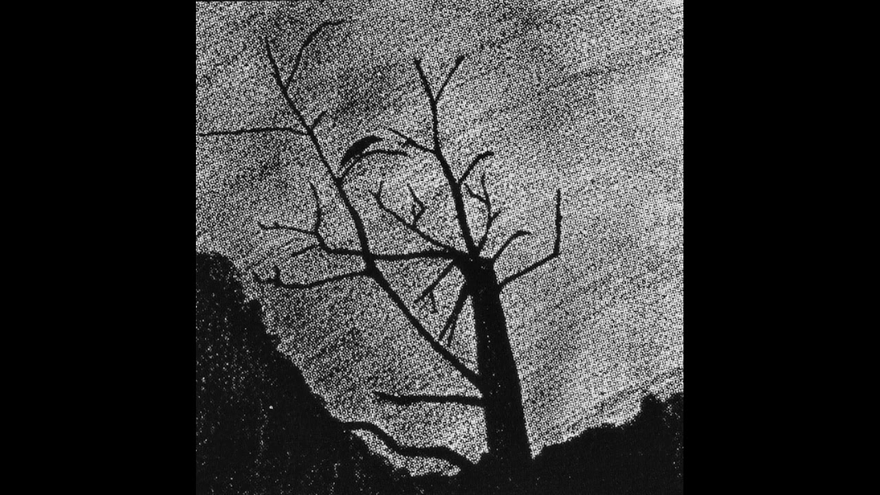 Saatkrähe - Breathes of Knowledge (2005)