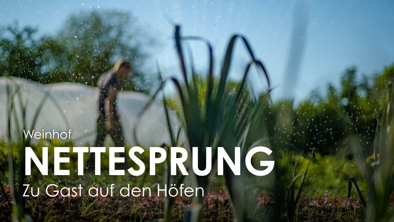 ZU GAST AUF DEN HÖFEN: THUDTS HOF 🍇 Biowein aus Herrhausen