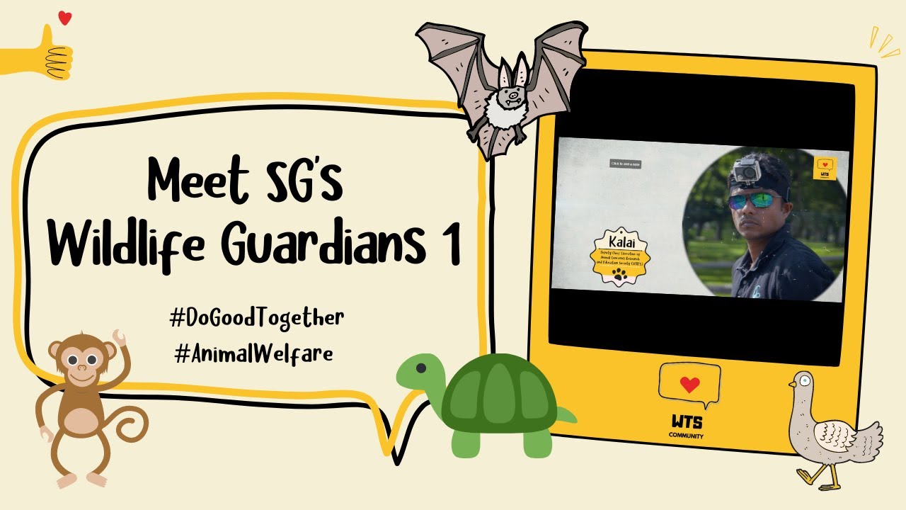 Meet SG's Wildlife Guardians 1