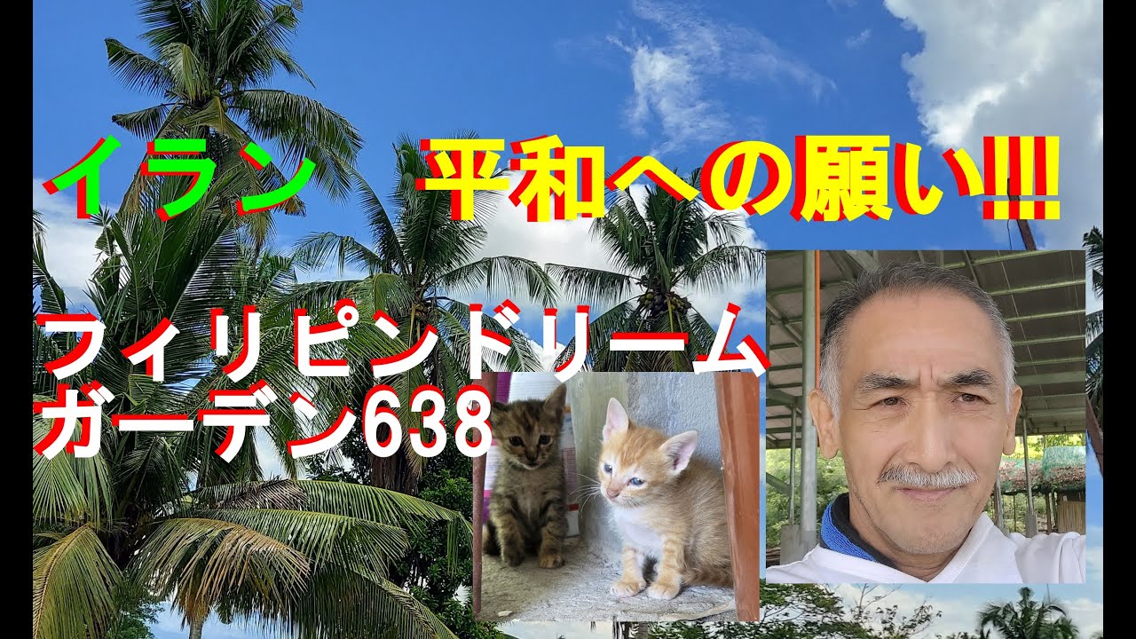638。戦そうは嫌だ！イラン、平和への願い！Philippine Dream Gardenフィリピンドリームガーデン