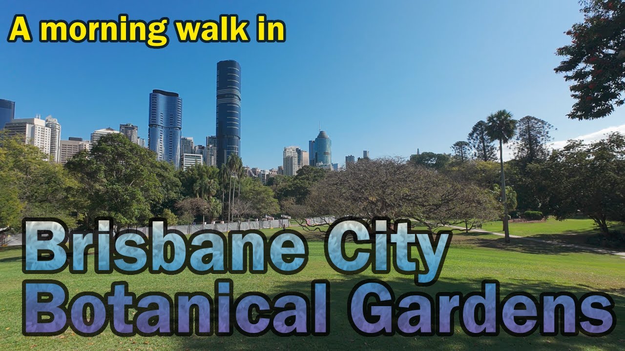 Brisbane City Botanical Gardens   A Morning walk