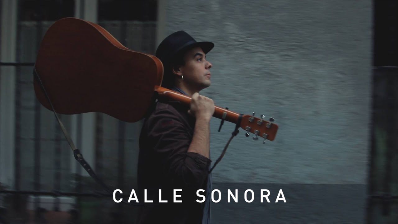 Calle Sonora | Aitor Flamingos - Salud / La Luna Llena