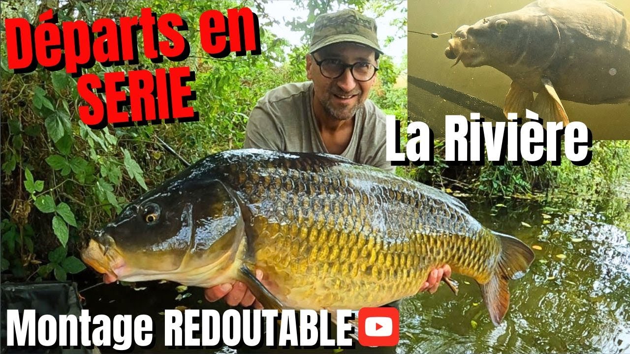 Mon MEILLEUR MONTAGE à la CARPE
