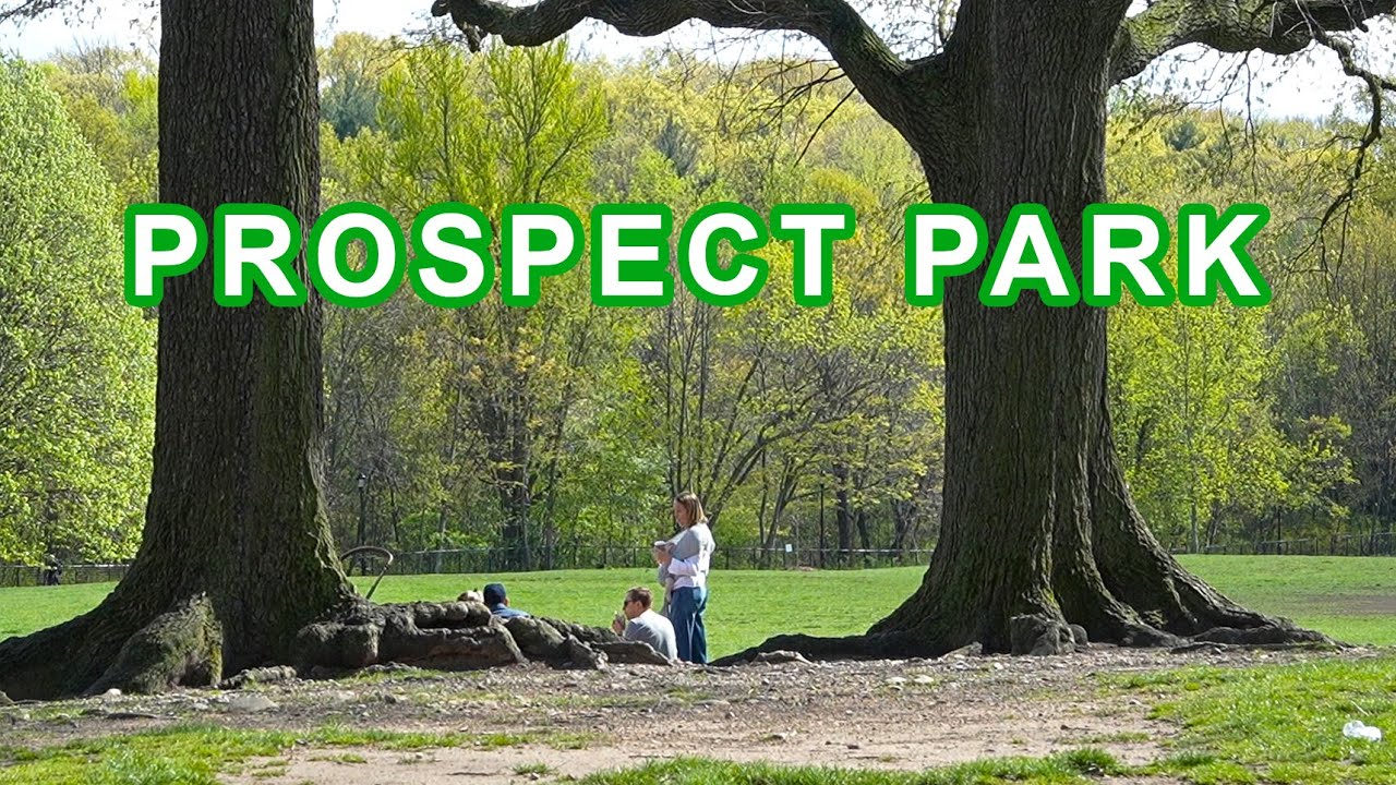 Relaxing walking in Brooklyn, Prospect Park after a rain shower