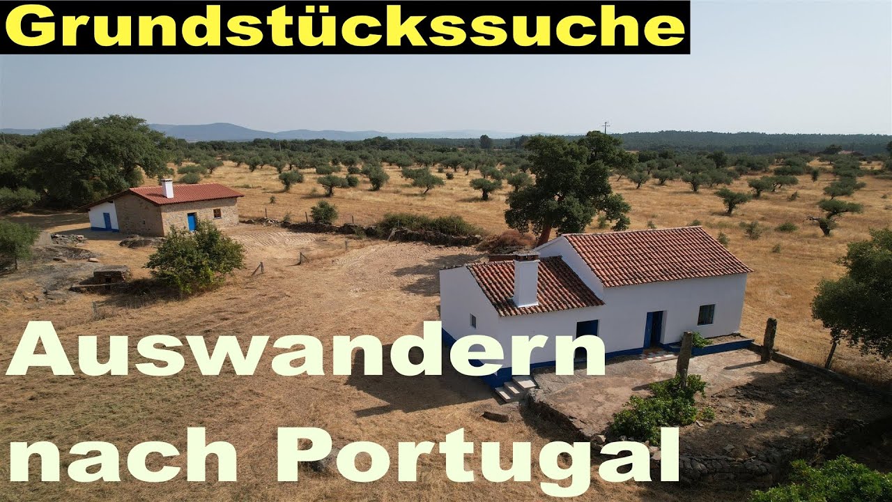 Auswandern nach Portugal - Grundstücke  -  Teil 8 - August 2025 - Quintas da Torre Grundstück