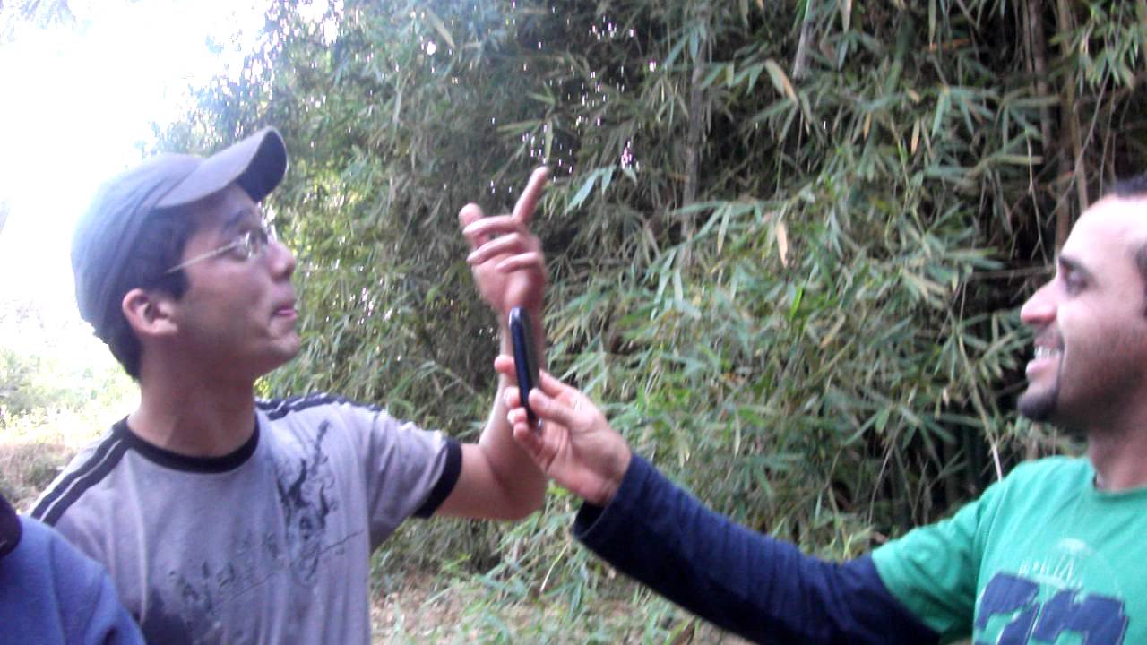 Tarzan de Riverlandia
