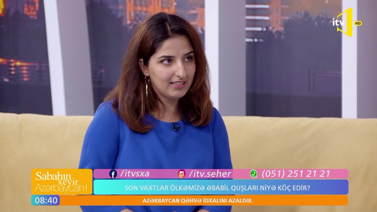 Son vaxtlar ölkəmizə əbabil quşları niyə köç edir?