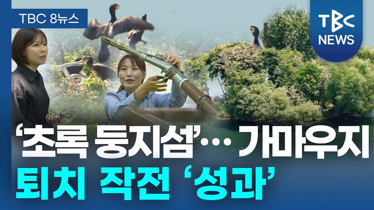 ‘초록 둥지섬’… 가마우지 퇴치 작전 ‘성과’ㅣTBC뉴스