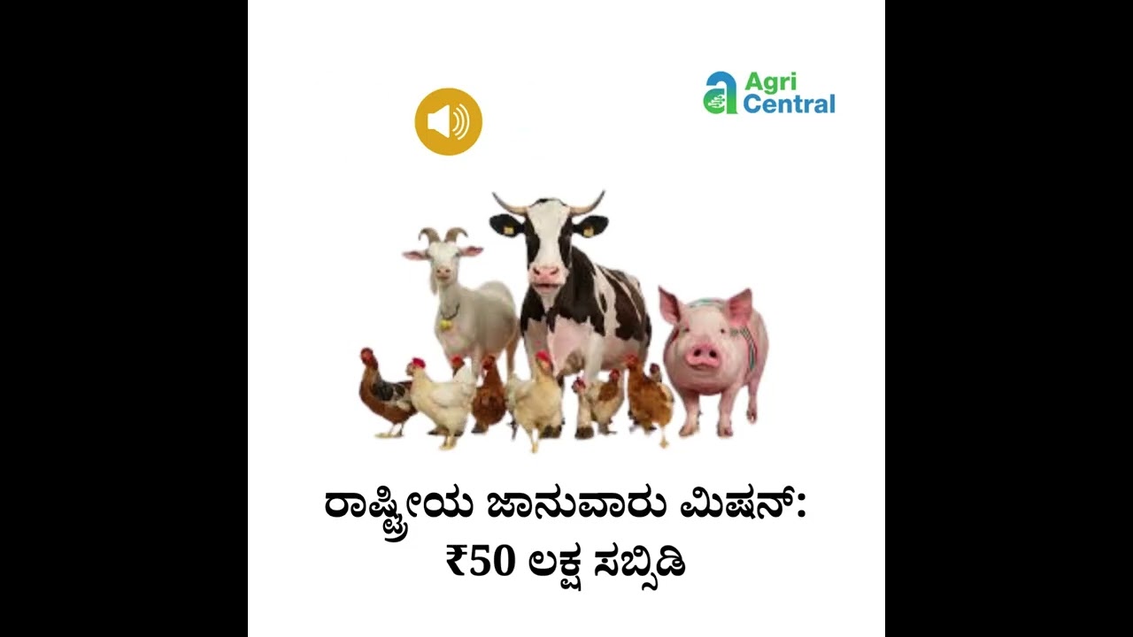 ರಾಷ್ಟ್ರೀಯ ಜಾನುವಾರು ಮಿಷನ್: ₹50 ಲಕ್ಷ ಸಬ್ಸಿಡಿ ಮೇಕೆ/ಕುರಿ ಘಟಕಗಳು