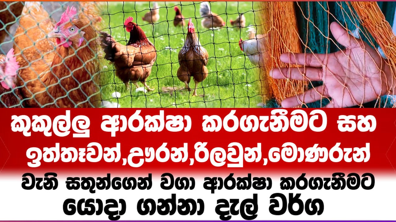 කුකුල්ලු ආරක්ෂා කරගැනීමට සහ ඉත්තෑවන්,ඌරන්,රිලවුන්,මොණරුන්වැනි සතුන්ගෙන් වගා ආරක්ෂා කරගැනීමට
