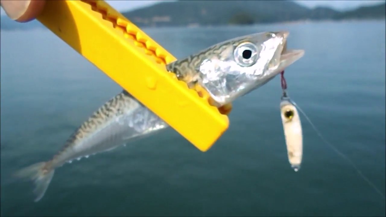 海釣り公園で小物のルアー釣り（マイクロメタルジグ編）