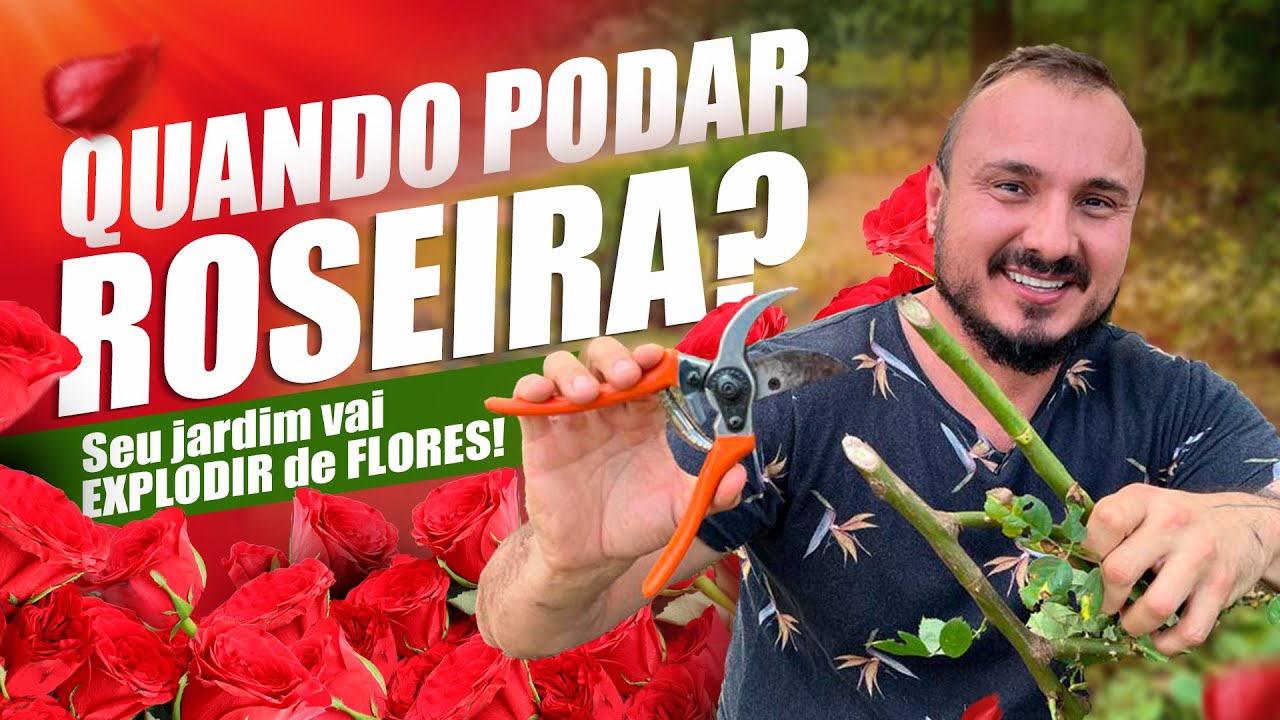Como podar ROSEIRAS e ter FLORES magníficas em pouco tempo
