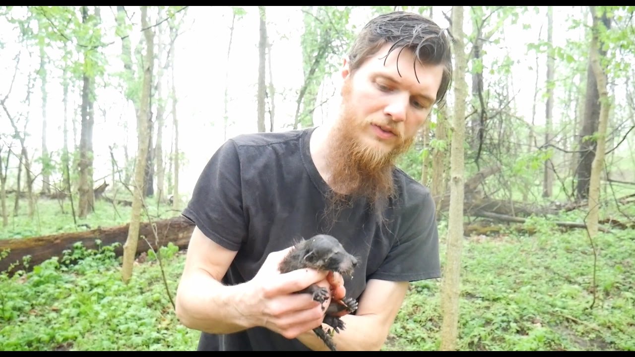We Found a Soaking Wet Baby Raccoon