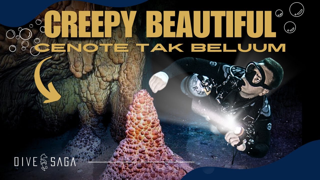 Mexico’s Weirdest Cenote? Diving The Mystery Of Tak Be Luum