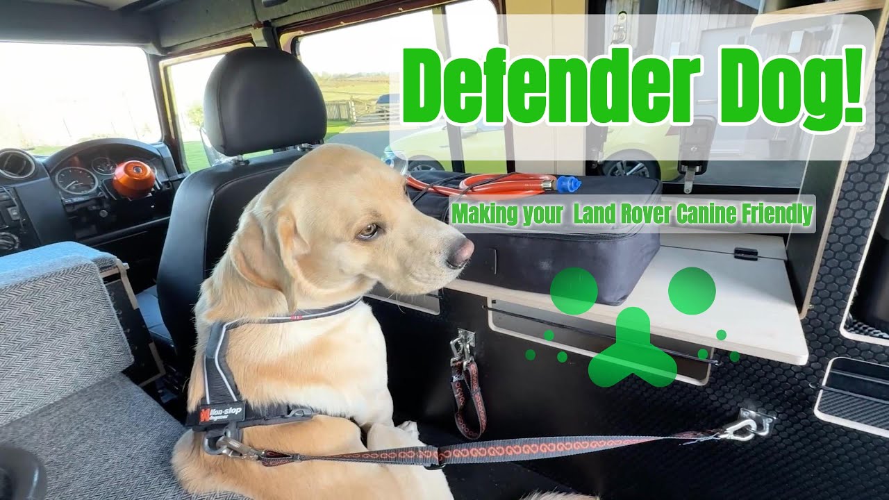 My Simple DIY Dog Restraint System for Land Rover Defender Camping Adventures